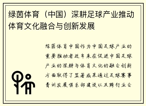 绿茵体育（中国）深耕足球产业推动体育文化融合与创新发展